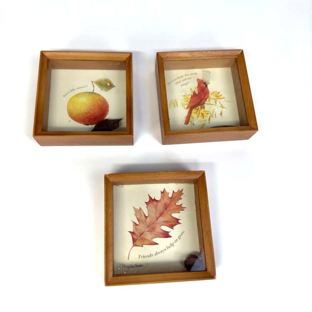 Hallmark Nature's Sketchbook Shadow Box Marjolein Bastin LOT of 3 Cardinal Leaf